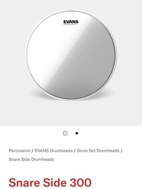 EVANS Clear Drumhead with Silver Hoop